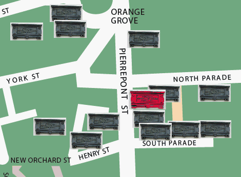 Nelson location map
